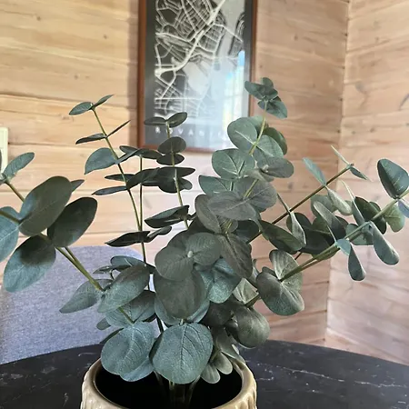 別荘 アホーセン ロマモキット Vikajärvi