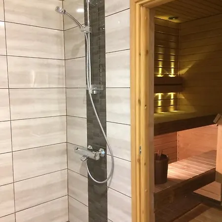 Ahosen Lomamoekit Dom wakacyjny Vikajärvi