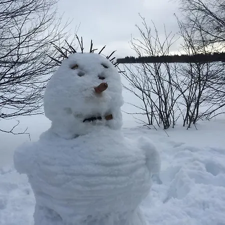 Ahosen Vikajärvi