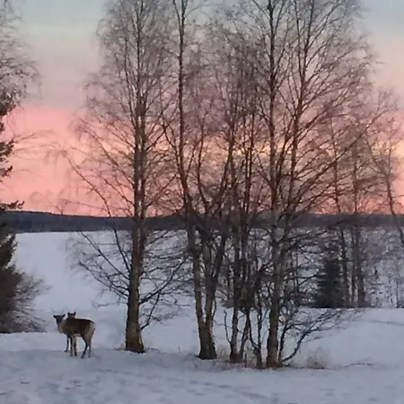 Casa de Férias Ahosen Lomamoekit Vikajärvi