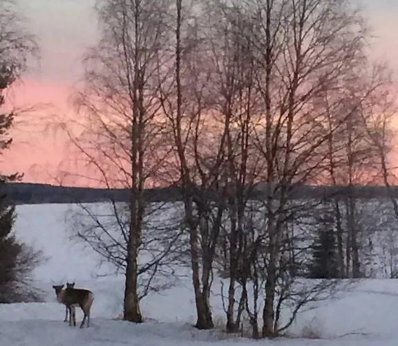 Vakantiehuis Ahosen Lomamoekit Vikajärvi